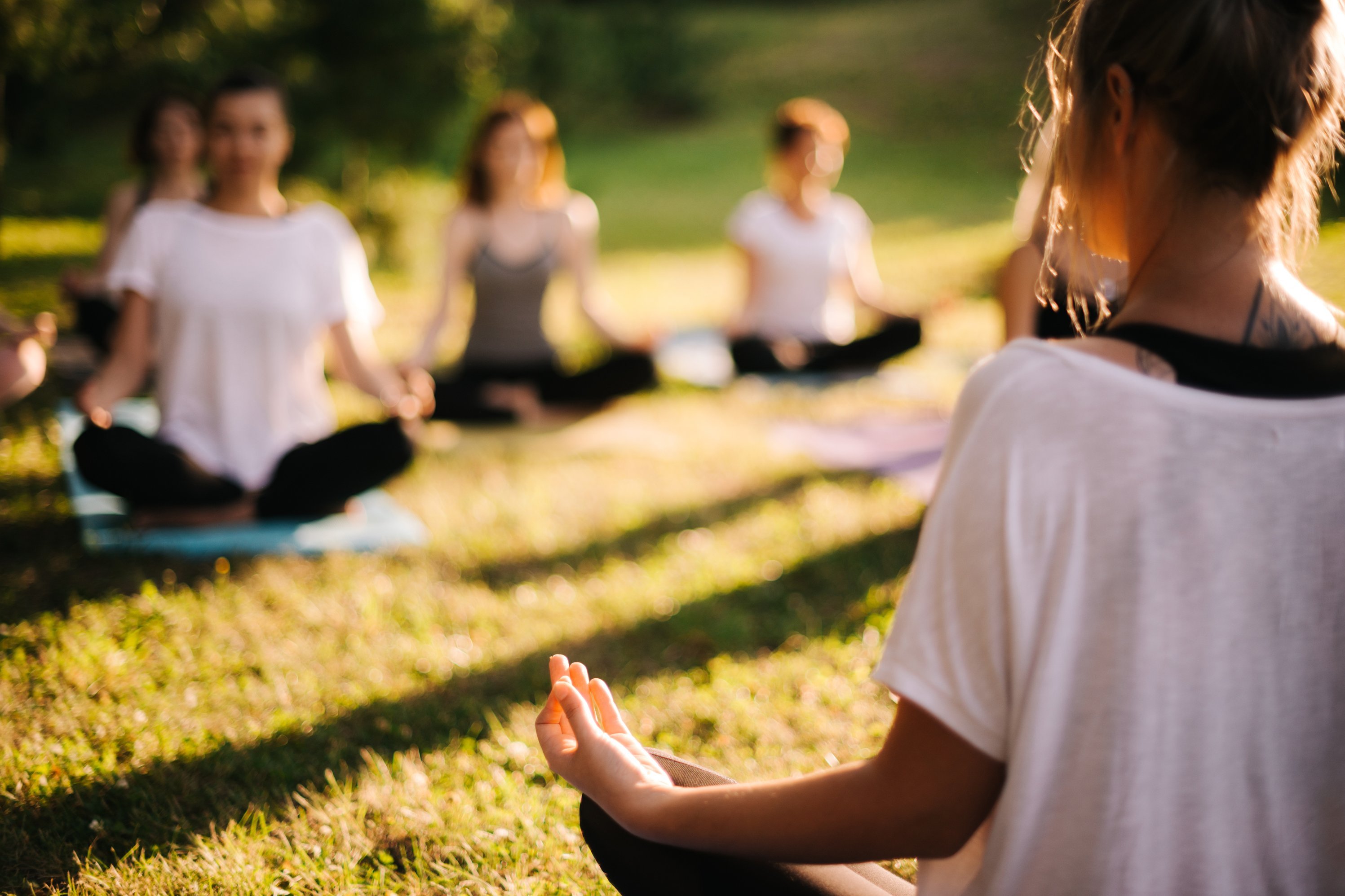 Eine Gruppe &uuml;bt Yoga.