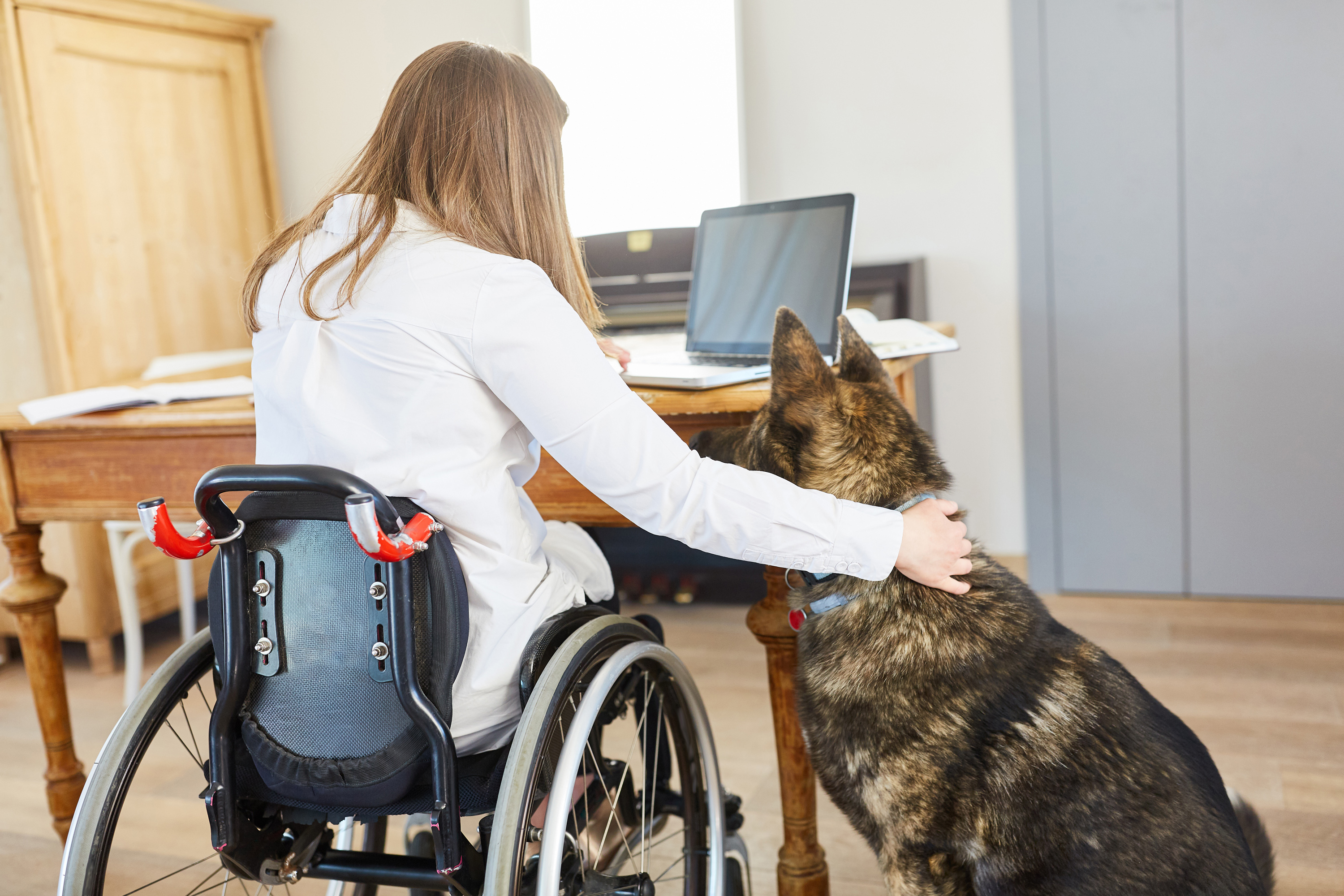 Eine Frau im Rollstuhl arbeitet am PC und ihr Hund ist dabei.